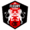 FC Fleury 91