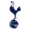 Tottenham Hotspur Academy